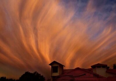 Timber Trail to Binsar