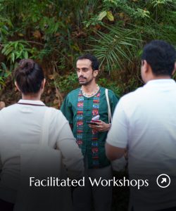 Facilitated Workshops