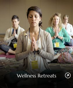 Wellness Retreats